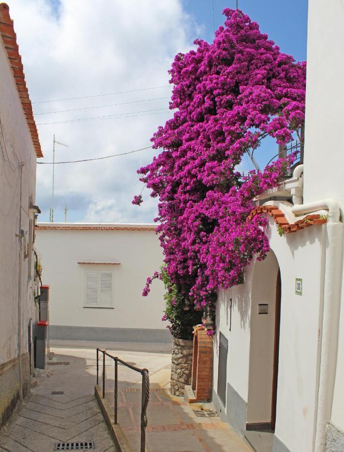 B&B Casa Angelina Anacapri  Exterior foto